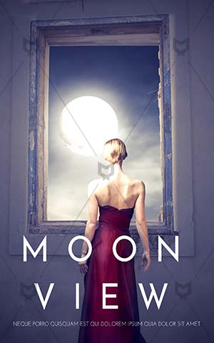 Romance-book-cover-Moon-Moonlight-Beauty-woman-Beautiful-Open-window-Woman-back-women-body-Midnight-Princess