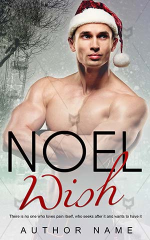Romance-book-cover-Muscular-Noel-designers-Sensuality-Male-Shirtless-Book-love-story-Beautiful-Adult-Beauty-Wish