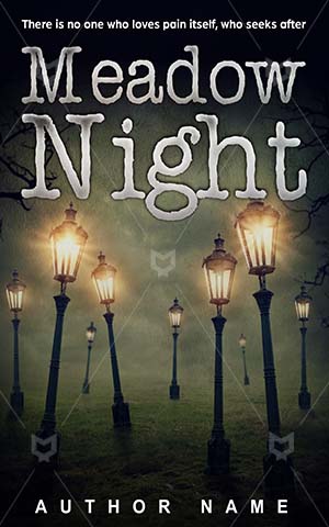 Thrillers-book-cover-Meadow-Dark-Symbol-Night-town-Forest-Darkness-Wood-Magic-Lantern-The-dark-city-Hope